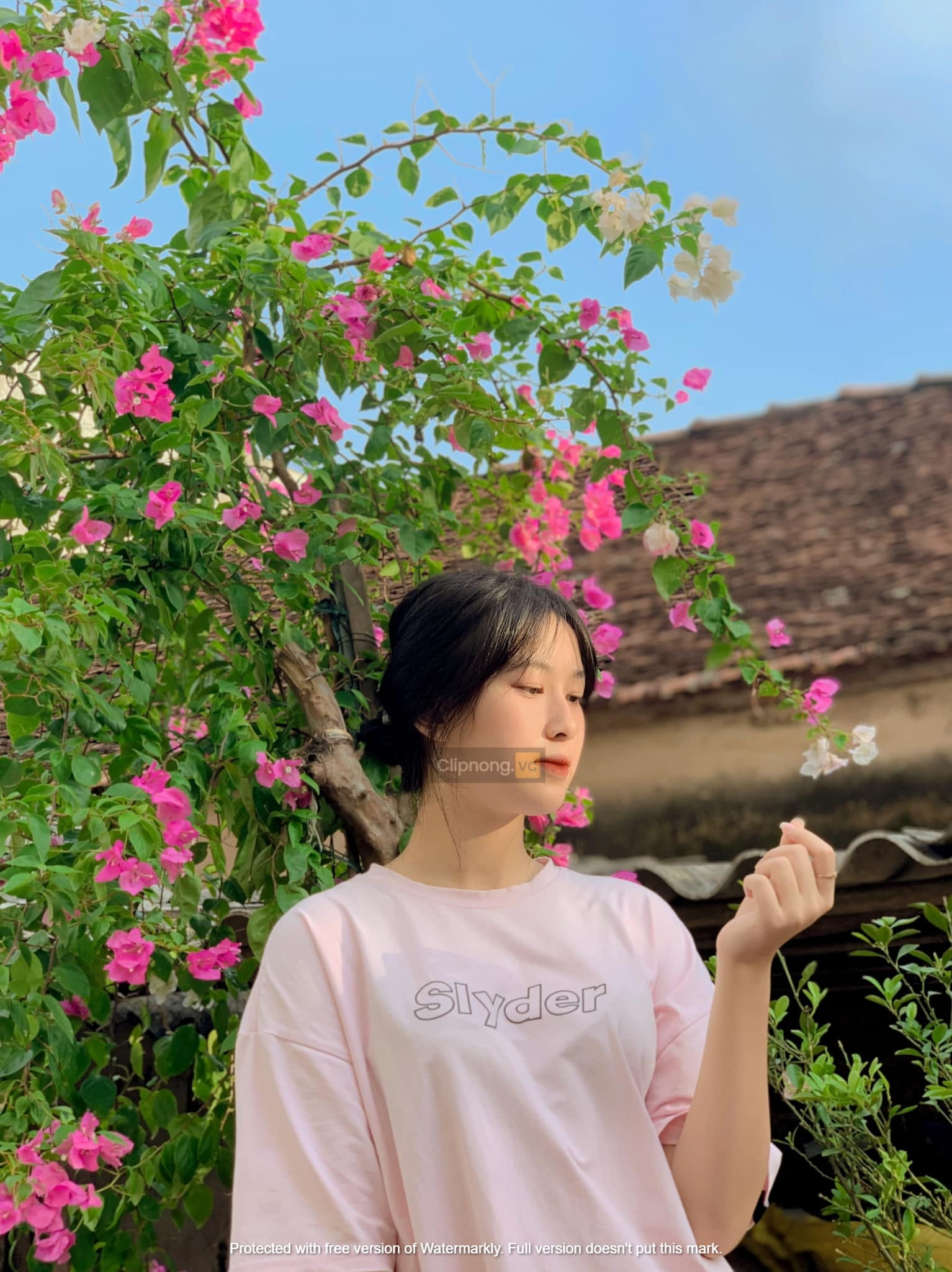 Link clip Hàn Bình lộ tiktoker “lếu lều” bạn trai từng centimet 37 239768079 318889973326121 3519056305685332391 n
