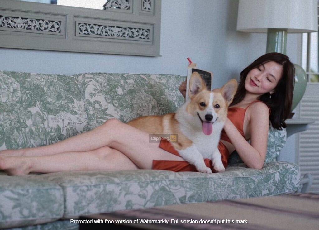 HOT| Clip Baifern Pimchanok xxx cùng bạn trai trong ô tô mới nhất 14 baifern pimchanok 2 1